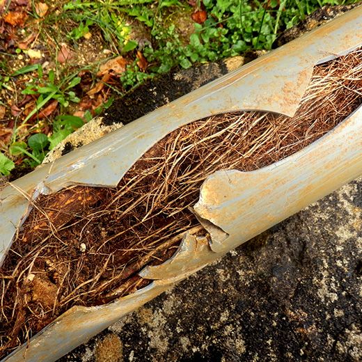 Fast Drain & Sewer Plumbing, 24 Hours